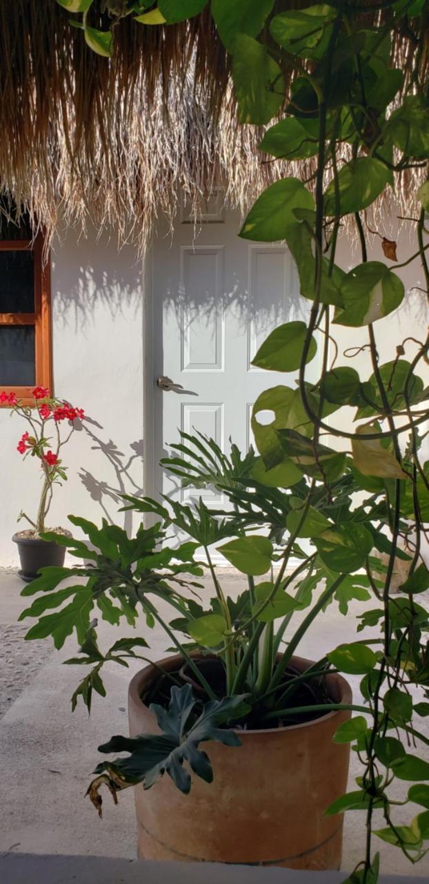 Poza Clara Sanctuary Hotel Bacalar Luaran gambar